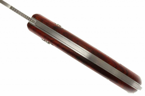 Складной нож Lion Steel Skinner 8901 CB фото 20 Складной нож Lion Steel Skinner 8901 CB фото 20