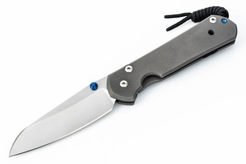 Складной нож Chris Reeve Large Sebenza 21 Insingo