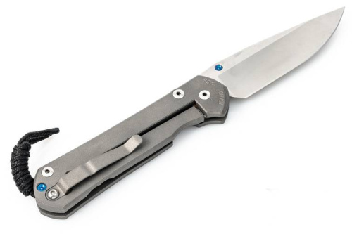 3810 Chris Reeve Large Sebenza 21 Polished Blade фото 15 3810 Chris Reeve Large Sebenza 21 Polished Blade фото 15