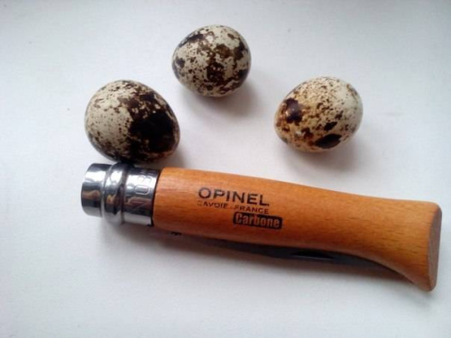 Складной нож Opinel №5 VRN Carbon Tradition фото 13