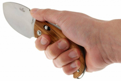 Складной нож Lion Steel Skinner 8901 UL фото 5